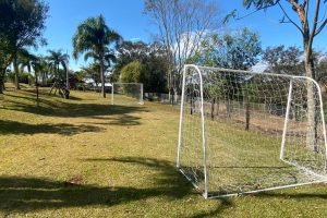 WhatsApp Image 2026-02-12 at 07.53.13