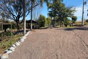 WhatsApp Image 2026-02-12 at 07.53.14