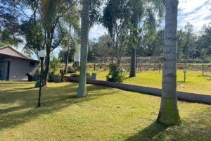 WhatsApp Image 2026-02-12 at 07.53.15